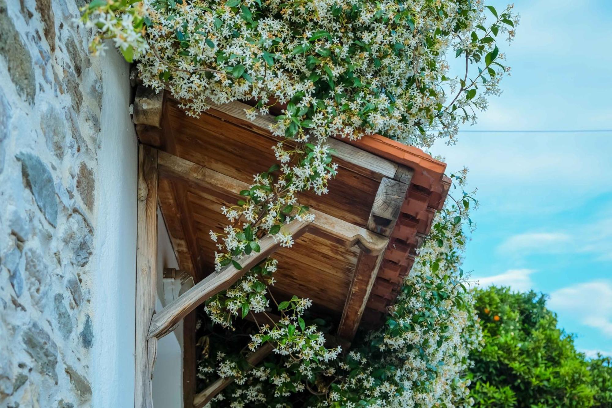 Cozy House In Pelion Lejlighed Káto Lekhónia Eksteriør billede